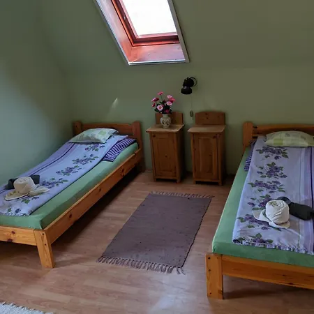 Hotel Liget Szallashely