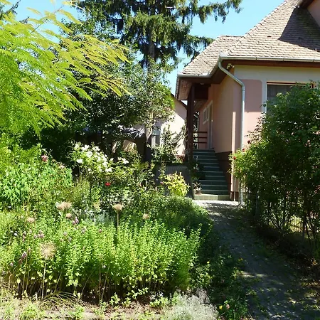 Hotel Liget Szallashely *