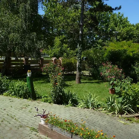 Hotel Liget Szallashely *